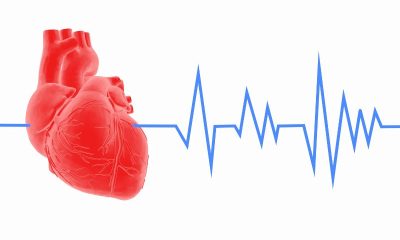 Digital Health Tools for Monitoring and Improving Heart Wellness