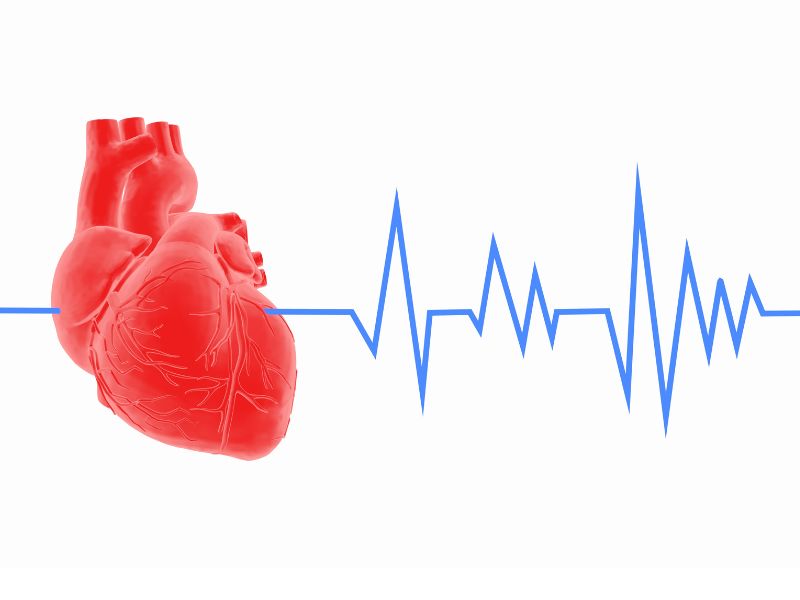 Digital Health Tools for Monitoring and Improving Heart Wellness