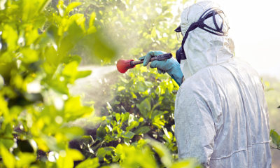 Pesticide Poisoning: First Aid Protocols