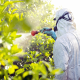 Pesticide Poisoning: First Aid Protocols