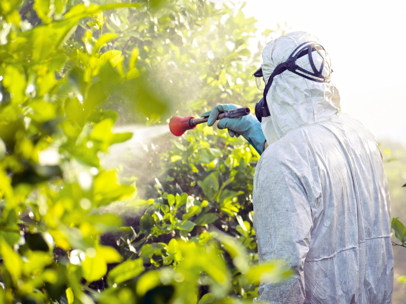 Pesticide Poisoning: First Aid Protocols