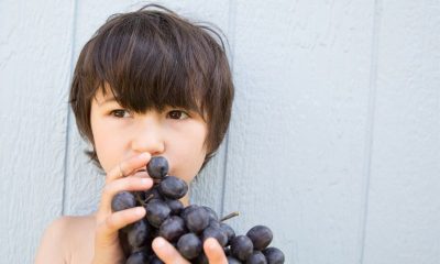 The Choking Hazard of Fruits