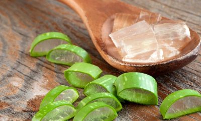 From Ice to Aloe: Best Practices for Treating Minor Burns at Home