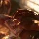 First Aid Health Effect Explained Like You're at the Scene